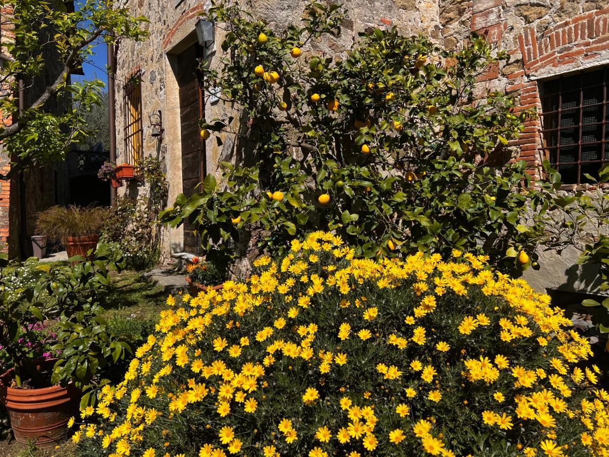 La Casina Dei Frati Villa Лука Екстериор снимка